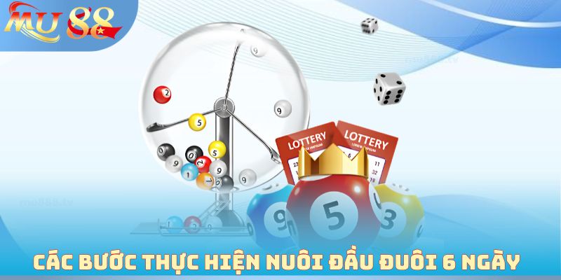 Các bước thực hiện nuôi đầu đuôi 6 ngày